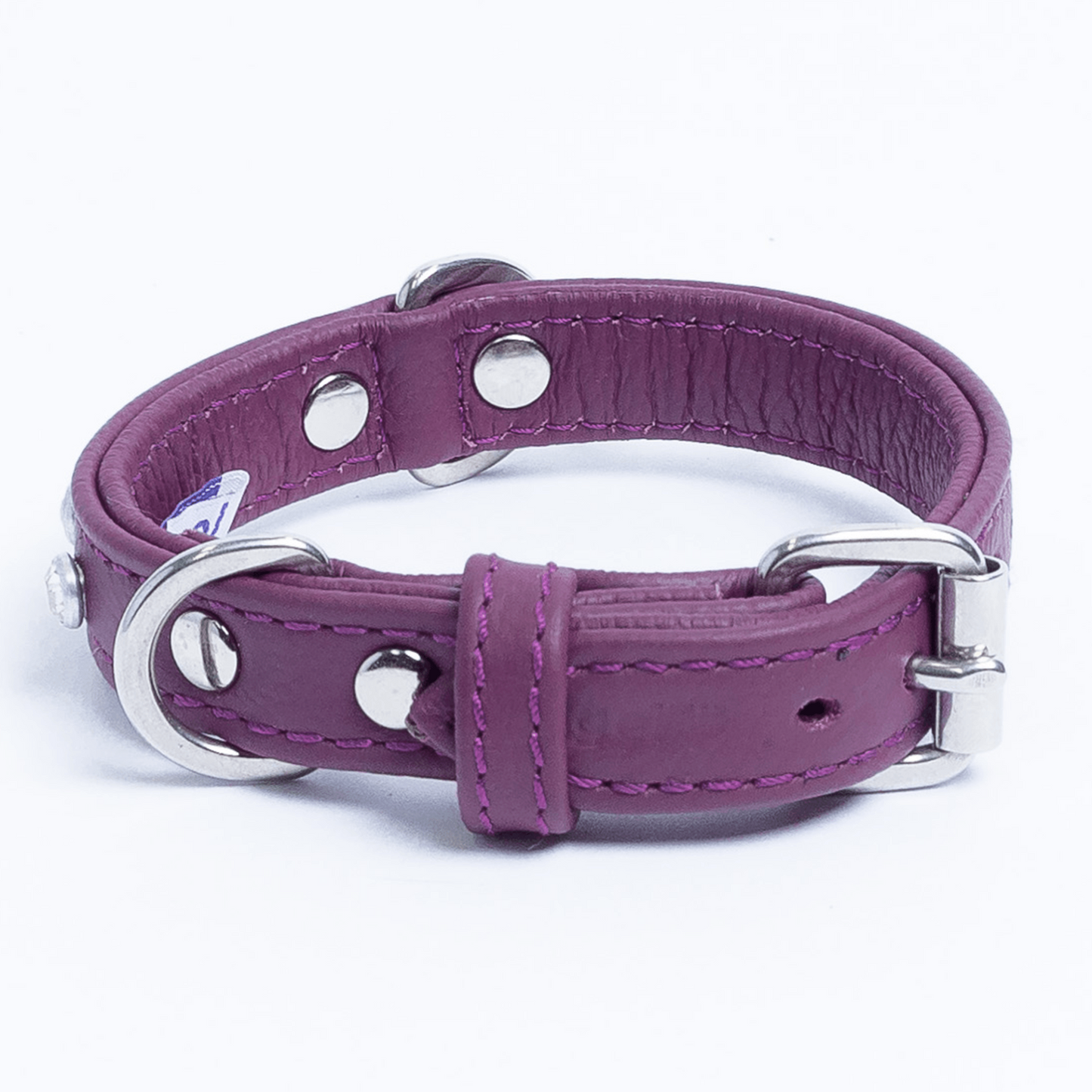 Athens Dog Collar ( Pink | Purple ) - USA Pets