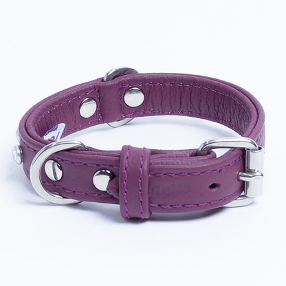 Athens Dog Collar ( Pink | Purple ) - USA Pets