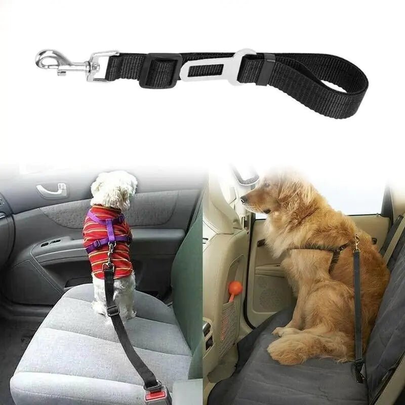 2 Pack Cat DOG PET Safety Seatbelt Car Vehicle Seat Belt Adjustable Harness Lead - USA Pets