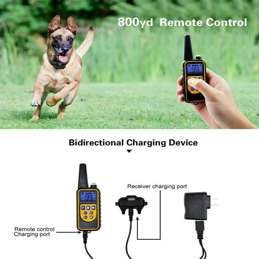 2600 FT Remote Dog Shock Training 2 Collar Set Rechargeable Waterproof LCD Pet - USA Pets