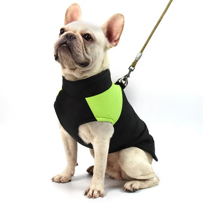 Winter Pet Clothing