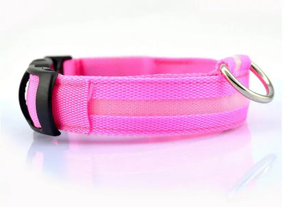 LED Pet Dog Collar for Night Safety, Nylon Leash