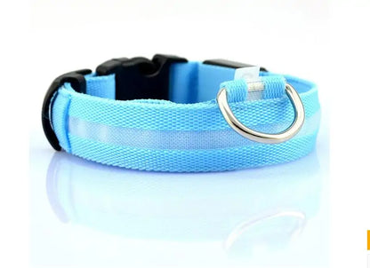 LED Pet Dog Collar for Night Safety, Nylon Leash