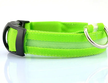 LED Pet Dog Collar for Night Safety, Nylon Leash