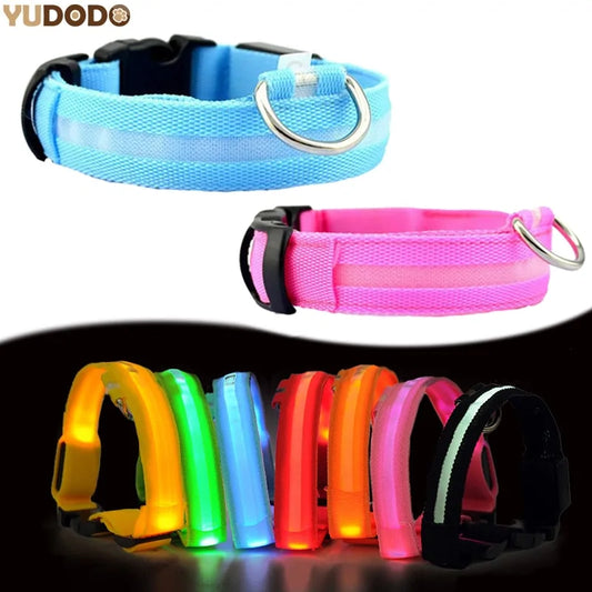 LED Pet Dog Collar for Night Safety, Nylon Leash