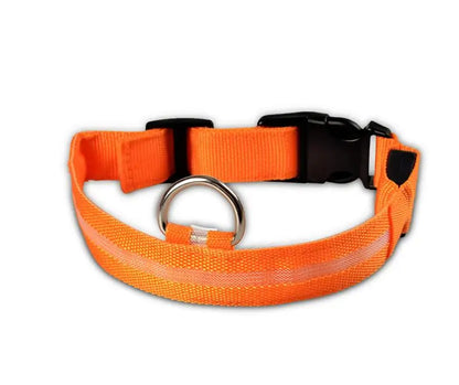 LED Pet Dog Collar for Night Safety, Nylon Leash