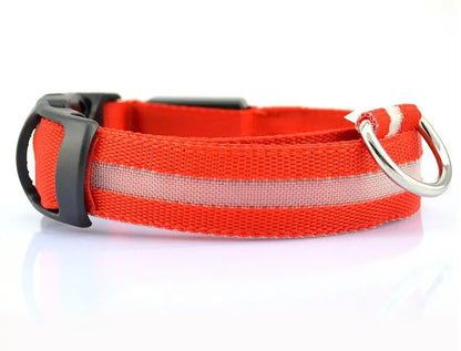 LED Pet Dog Collar for Night Safety, Nylon Leash