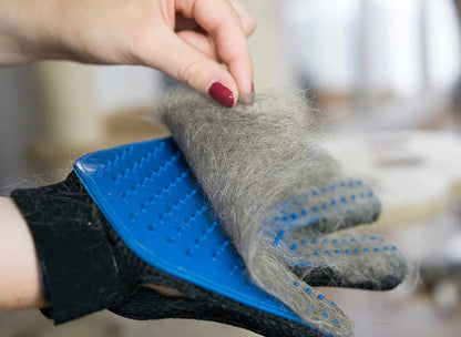 Anti - Hair Grooming Glove for Pets - USA Pets