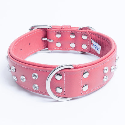 Athens Dog Collar ( Pink | Purple ) - USA Pets