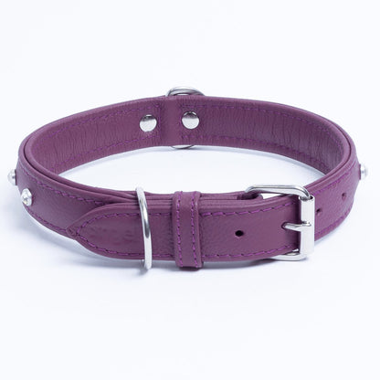 Athens Dog Collar ( Pink | Purple ) - USA Pets