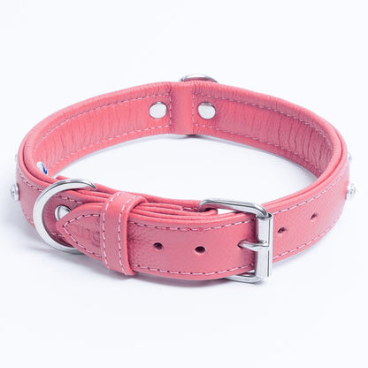 Athens Dog Collar ( Pink | Purple ) - USA Pets