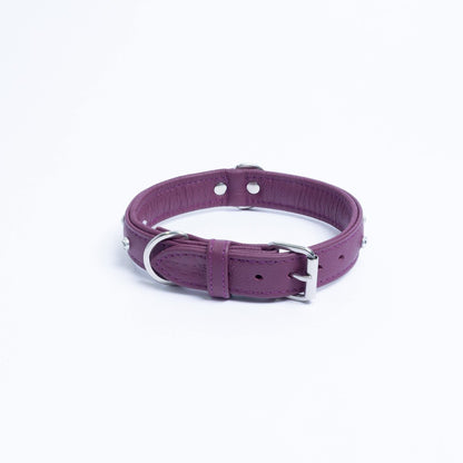 Athens Dog Collar ( Pink | Purple ) - USA Pets