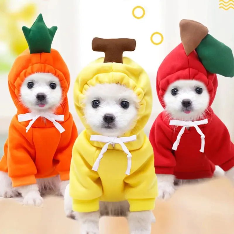 Cute AndCozy Costumes For Pet - USA Pets