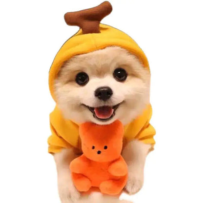 Cute AndCozy Costumes For Pet - USA Pets