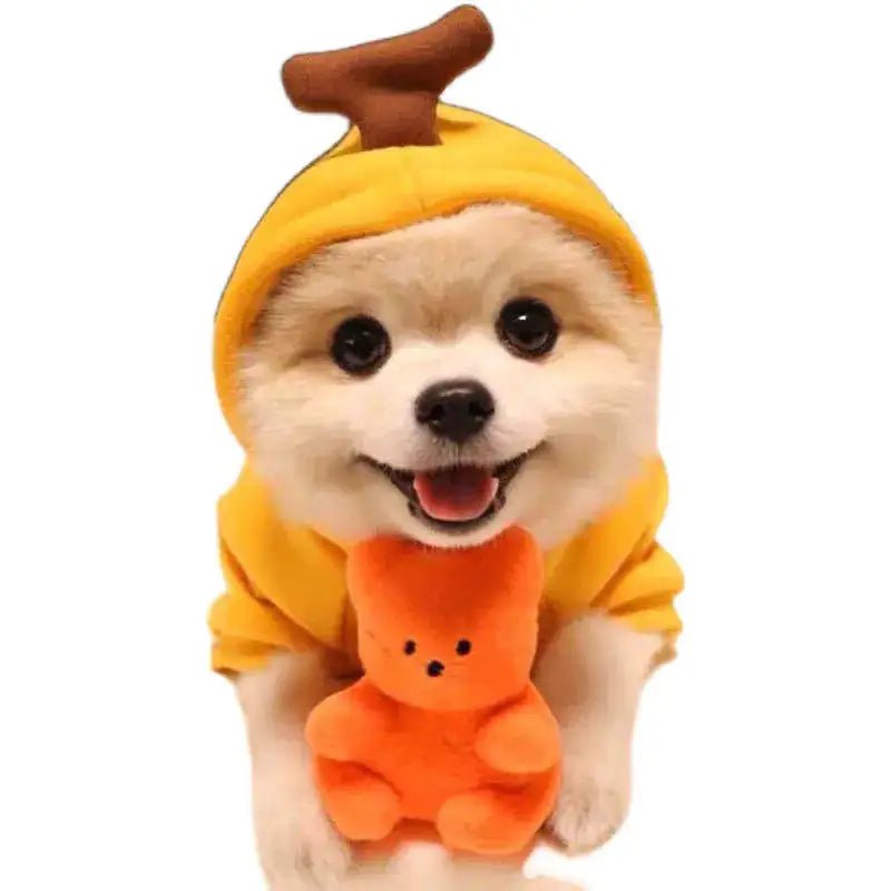 Cute AndCozy Costumes For Pet - USA Pets