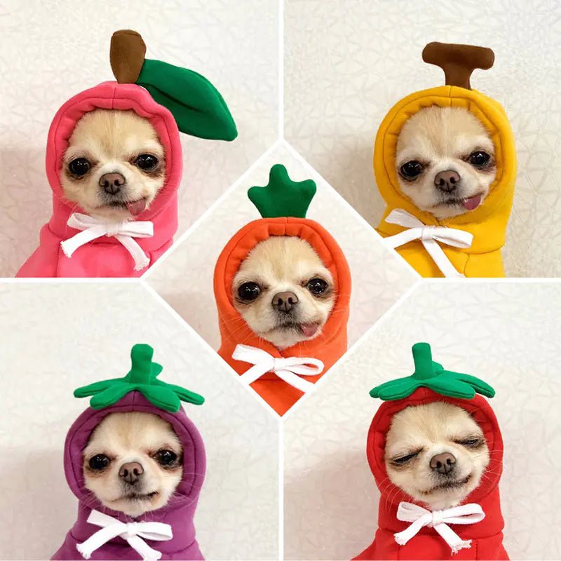 Cute AndCozy Costumes For Pet - USA Pets