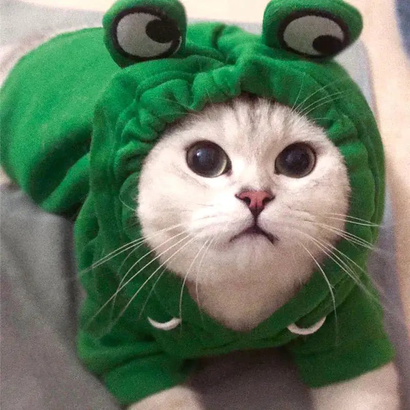 Cute AndCozy Costumes For Pet - USA Pets