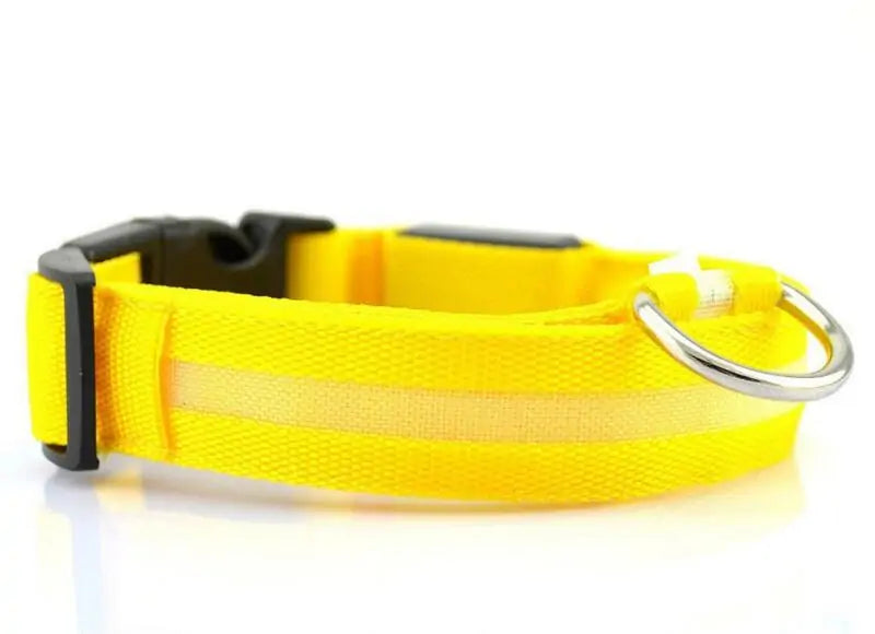 LED Pet Dog Collar for Night Safety, Nylon Leash