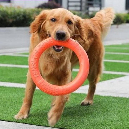 Dog Ring Toy - USA Pets