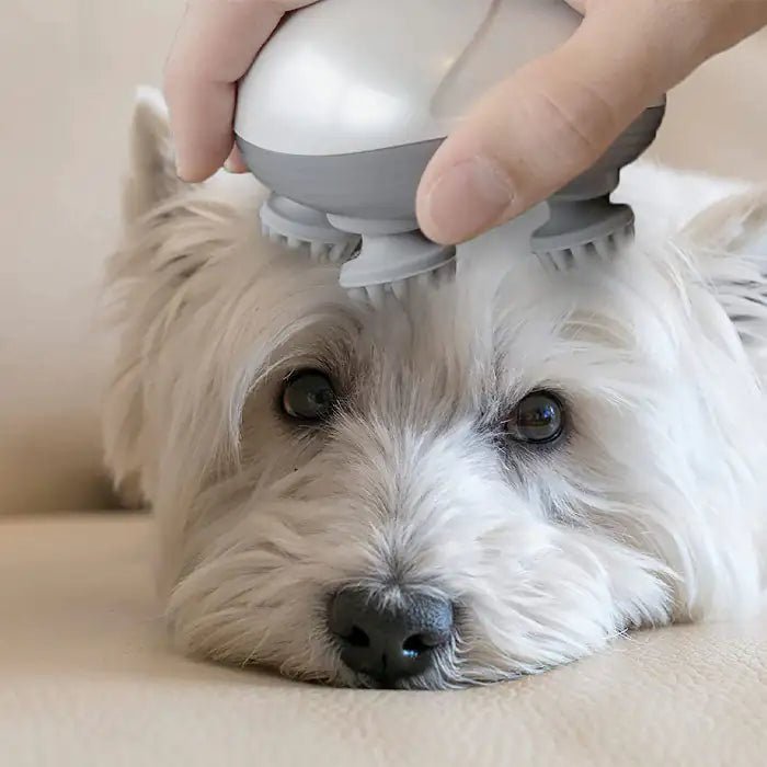 Electric Massager for Pets - USA Pets