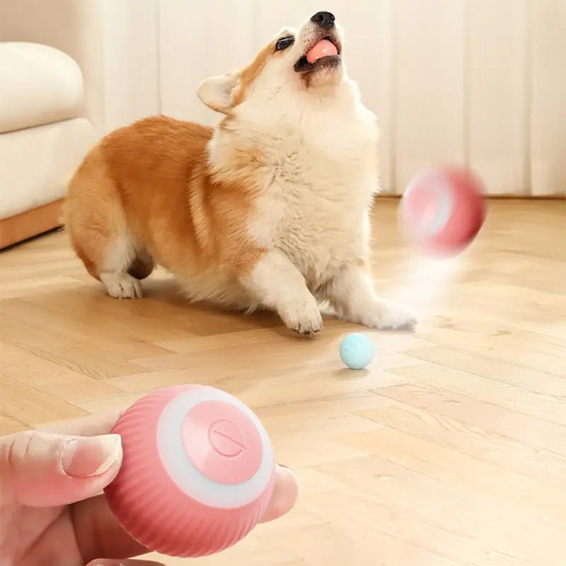 Electric Smart Ball Toys for Pets - USA Pets