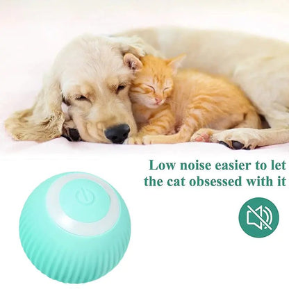 Electric Smart Ball Toys for Pets - USA Pets