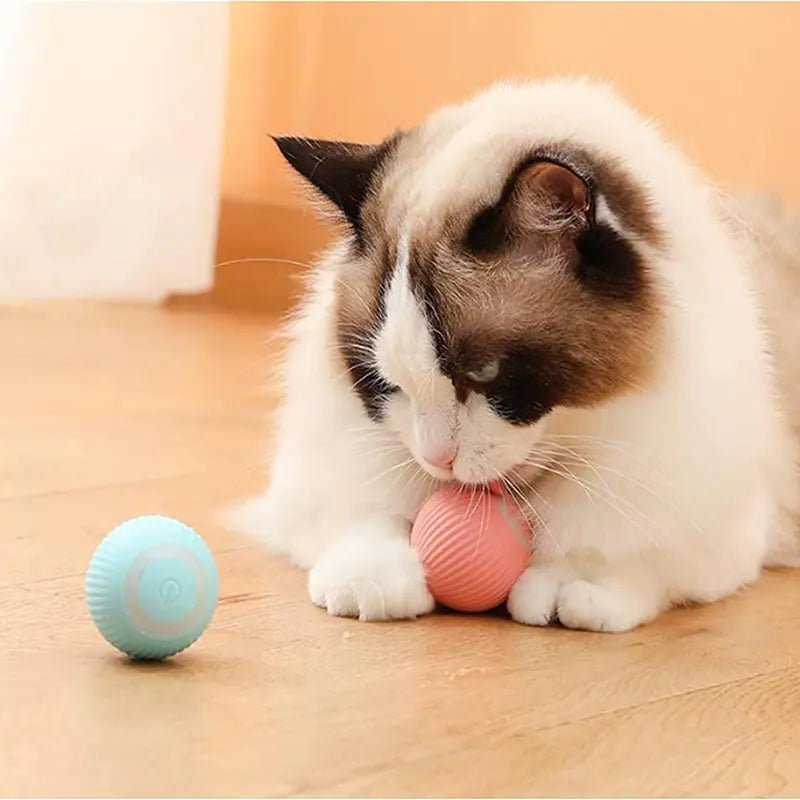 Electric Smart Ball Toys for Pets - USA Pets