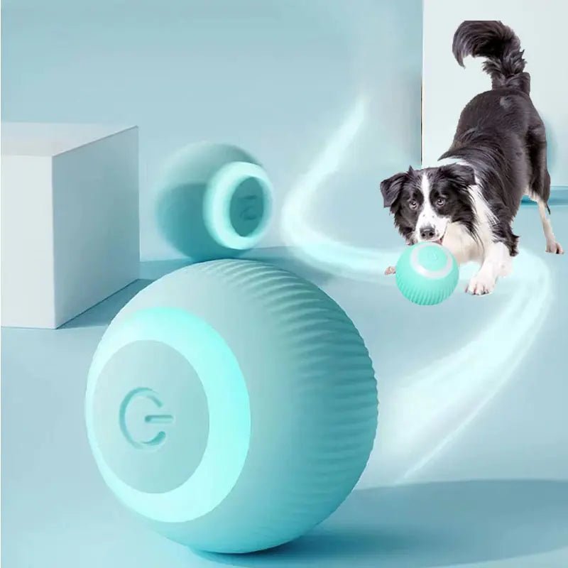 Electric Smart Ball Toys for Pets - USA Pets