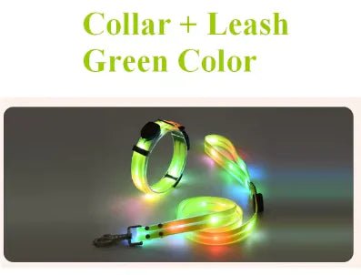 Glowing Pet Leash - USA Pets