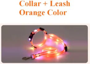 Glowing Pet Leash - USA Pets