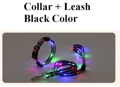 Glowing Pet Leash - USA Pets