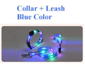 Glowing Pet Leash - USA Pets