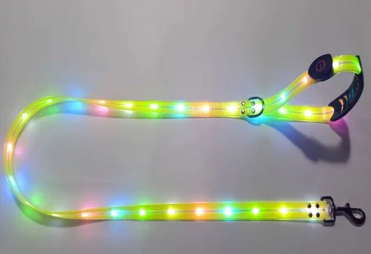 Glowing Pet Leash - USA Pets