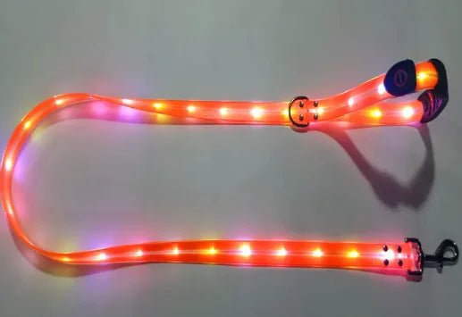 Glowing Pet Leash - USA Pets