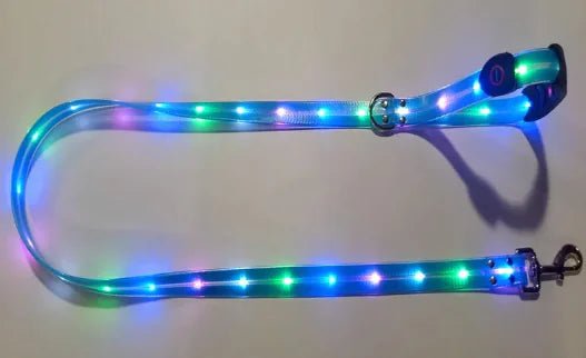 Glowing Pet Leash - USA Pets