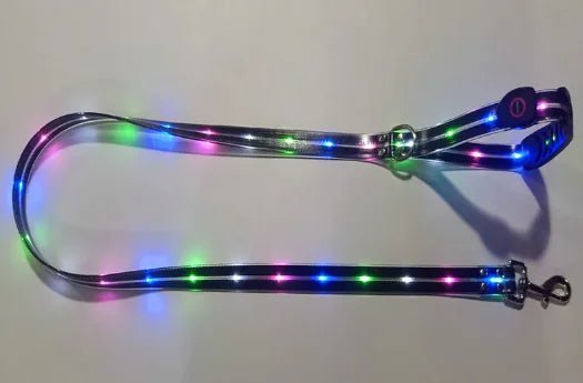 Glowing Pet Leash - USA Pets