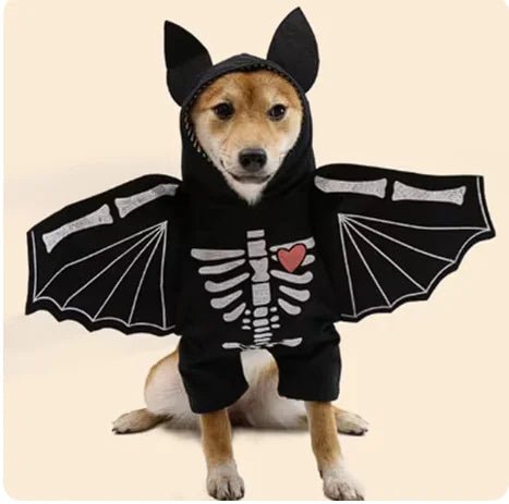 Halloween Bat Costume for Dogs - USA Pets