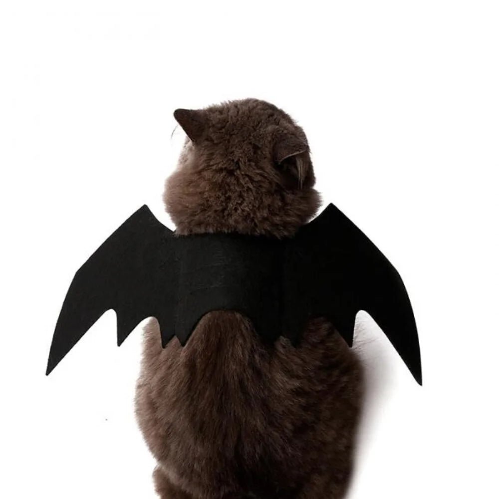 Halloween Cute Pet Clothes Black Bat - USA Pets