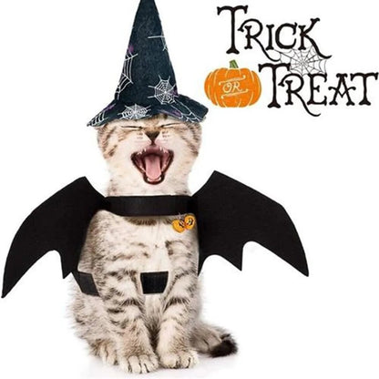 Halloween Cute Pet Clothes Black Bat - USA Pets