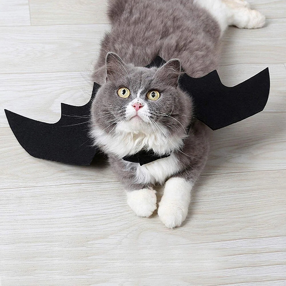 Halloween Cute Pet Clothes Black Bat - USA Pets