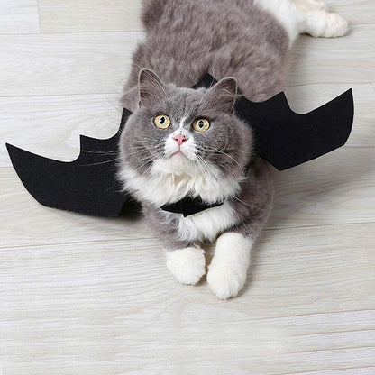 Halloween Cute Pet Clothes Black Bat - USA Pets