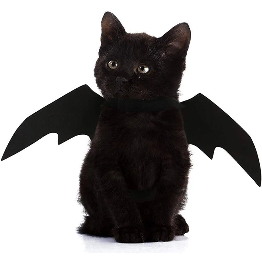 Halloween Cute Pet Clothes Black Bat - USA Pets