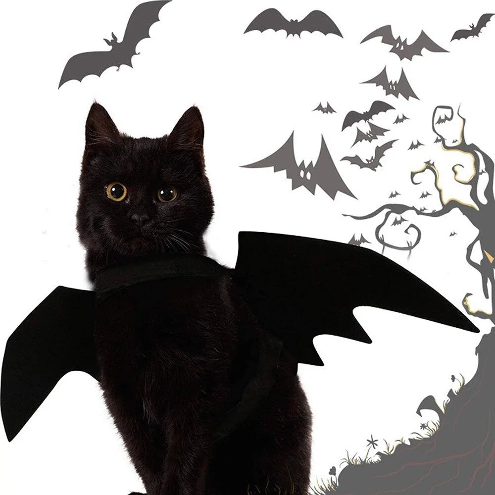 Halloween Cute Pet Clothes Black Bat - USA Pets