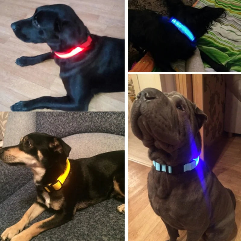 LED Pet Dog Collar for Night Safety, Nylon Leash