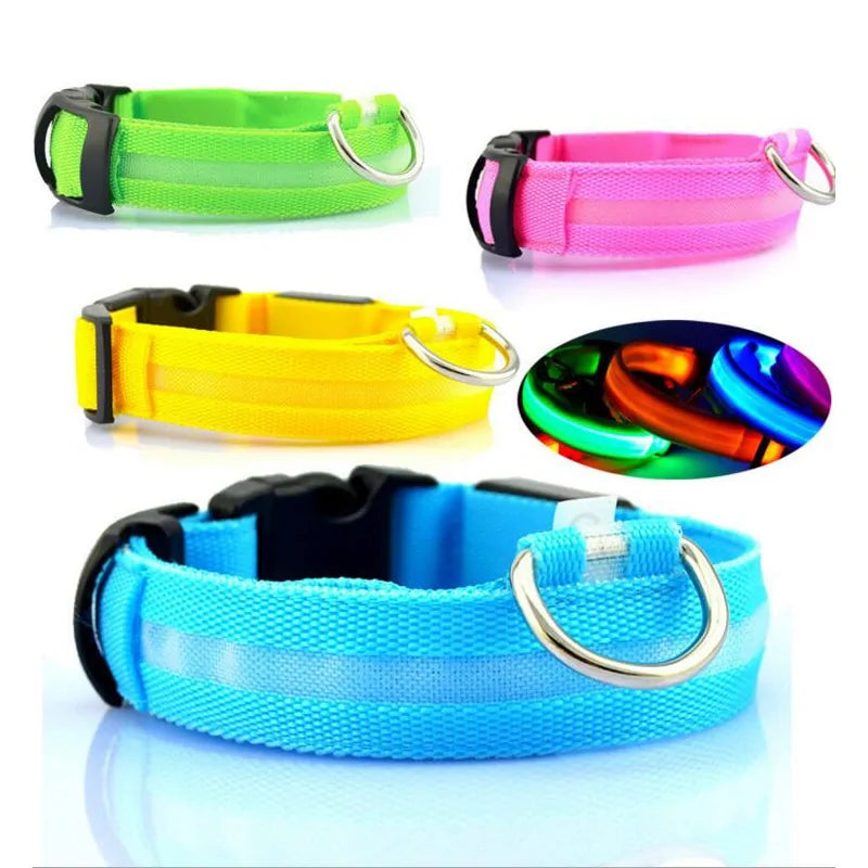 LED Pet Dog Collar for Night Safety, Nylon Leash