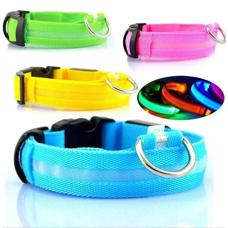 LED Adjustable Dog Collar Blinking Flashing Light Up Pet Safety Waterproof - USA Pets