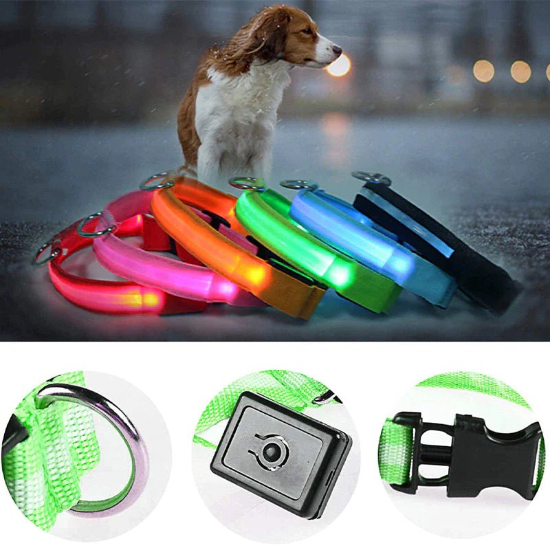 LED Adjustable Dog Collar Blinking Flashing Light Up Pet Safety Waterproof - USA Pets