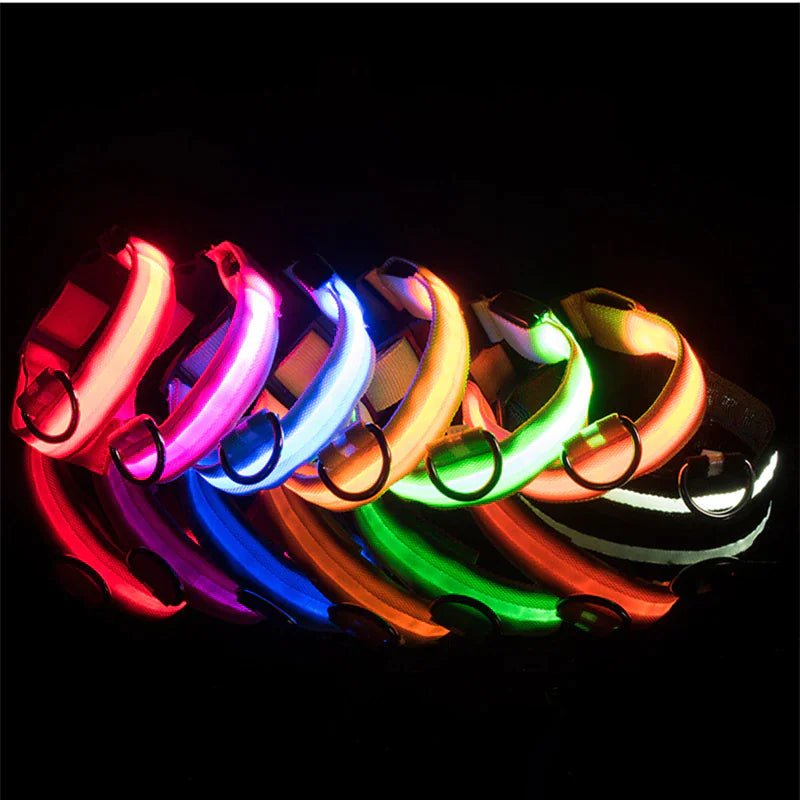 LED Adjustable Dog Collar Blinking Flashing Light Up Pet Safety Waterproof - USA Pets