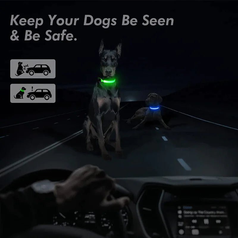 LED Adjustable Dog Collar Blinking Flashing Light Up Pet Safety Waterproof - USA Pets