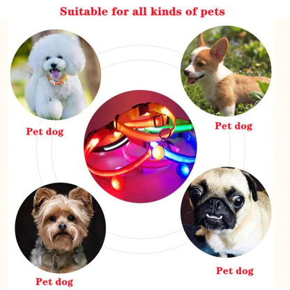 LED Adjustable Dog Collar Blinking Flashing Light Up Pet Safety Waterproof - USA Pets